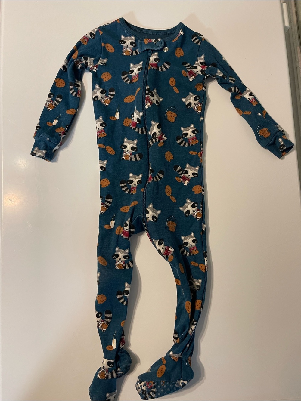PJ Place 9-12M Teal Raccoon Cookie Zip-Front Footie